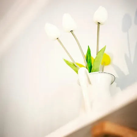 Apartamento Bright&quiet Center *